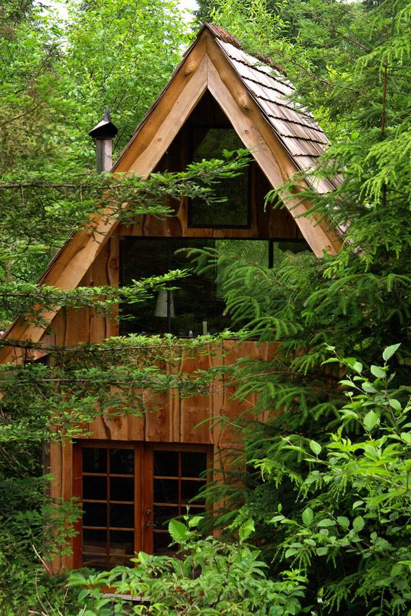 Lovely little woodsy getaway