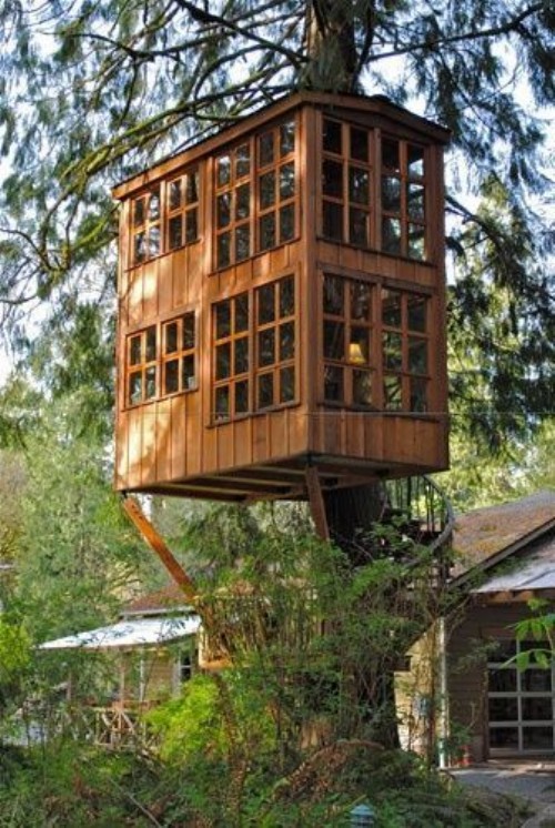 This is not a treehouse, 